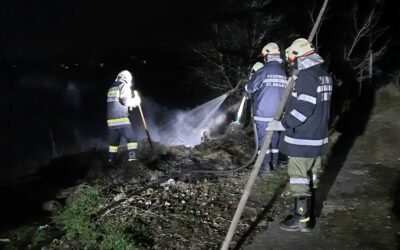 Brandeinsatz; Heckenbrand 08.03.2022